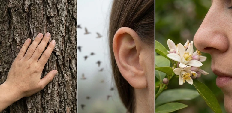 Conectándome con el presente a través de mis sentidos.