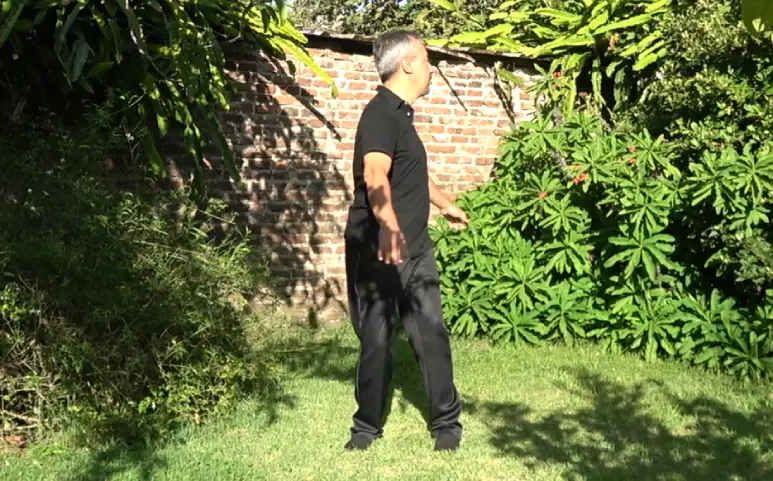 Técnica de Rotación de Columna. Movimiento de giro hacia los lados.