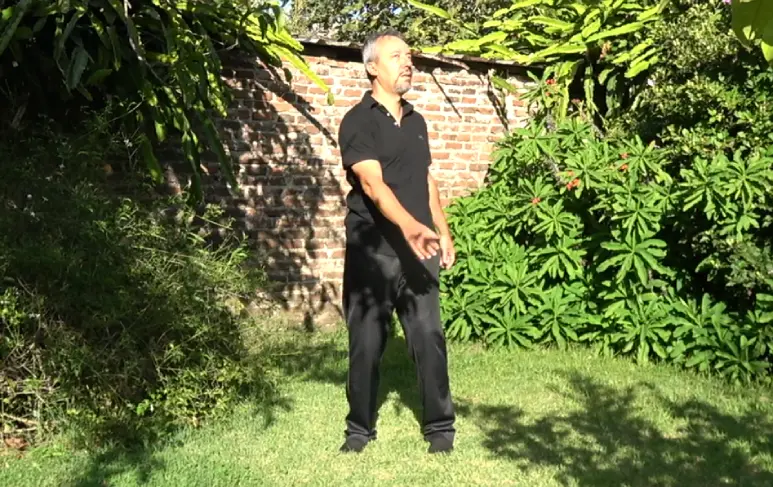 Técnica de Rotación de Columna. Movimiento de giro hacia los lados.